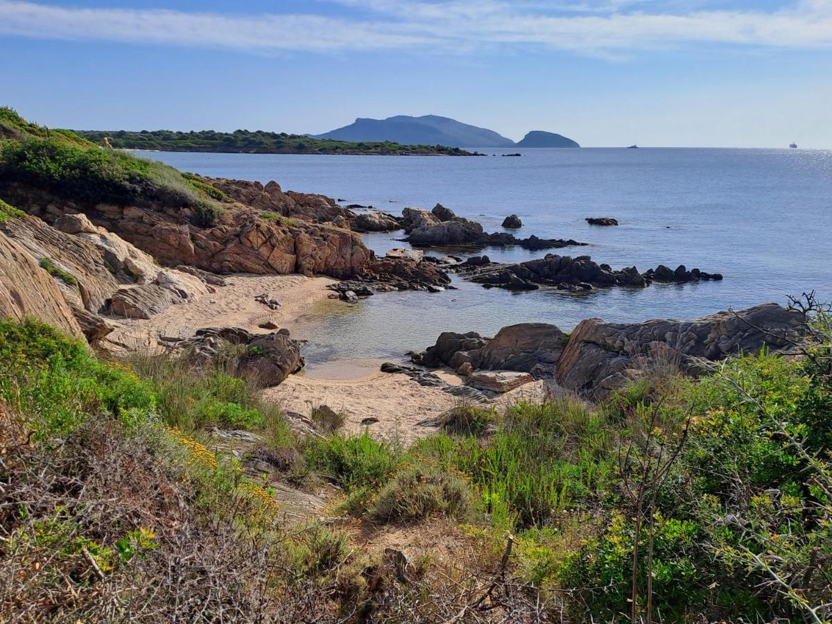 Home On Sardinia Beach Olbia Ngoại thất bức ảnh